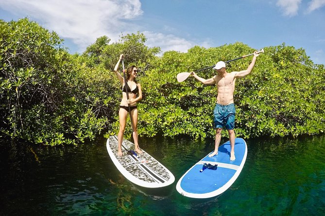 Cenote Paddleboarding and Snorkeling in Tulum - The Sum Up