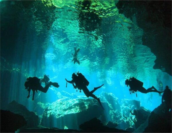 Cenote PRO Just for Experts - Booking and Cancellation