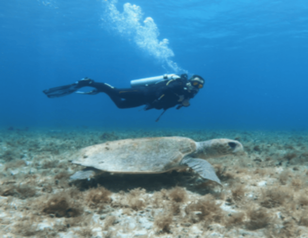 Cenote PRO Just for Experts - Transportation and Meeting Point