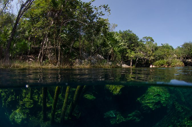 Cenote Snorkeling Small-Group Excursion With Lunch - Playa Del Carmen - Cancellation Policy