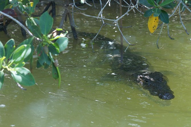 Cenote Suytun & Rio Lagartos & Las Coloradas - Pricing and Contact Information