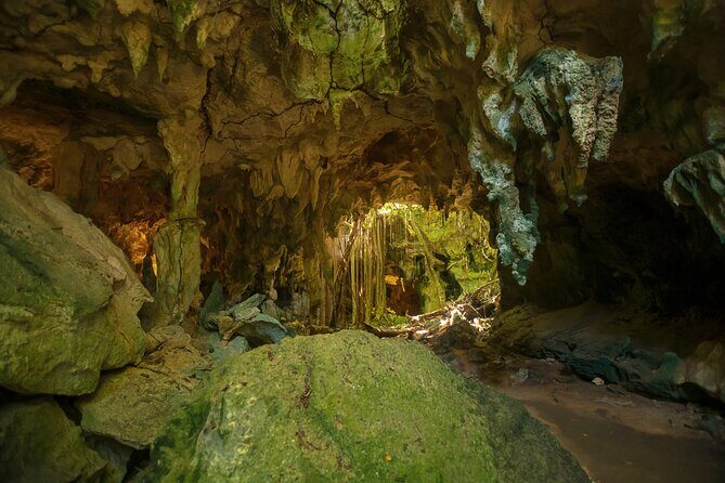 Cenote Swim, Cave Exploration and Plantation Tour in Punta Cana - FAQ