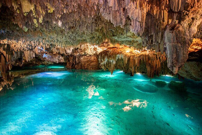 Cenote Turtle and Beach Club Full Day Tour - The Group Experience & Transportation