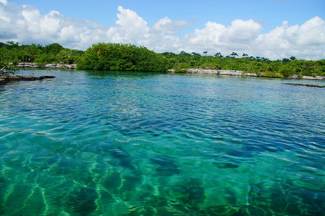 Cenote VIP Day Trip With Snorkel Guide - Playa Del Carmen - Snorkeling in Cenotes