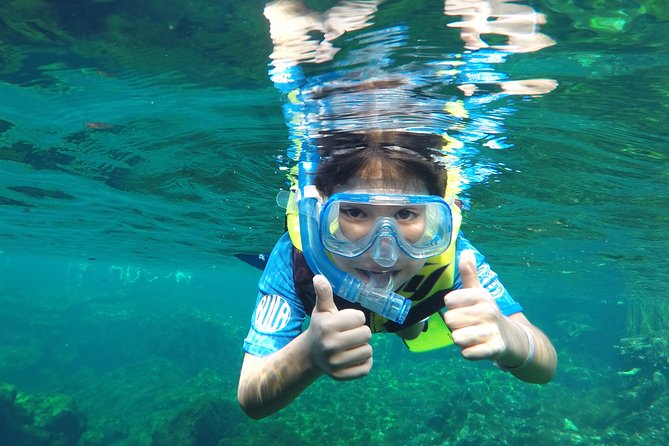 Cenote VIP Day Trip With Snorkel Guide - Playa Del Carmen - Traveler Reviews