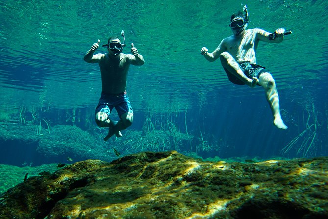 Cenote VIP Day Trip With Snorkel Guide - Playa Del Carmen - VIP Experience