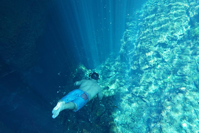 Cenote VIP Day Trip With Snorkel Guide - Playa Del Carmen - Common Questions