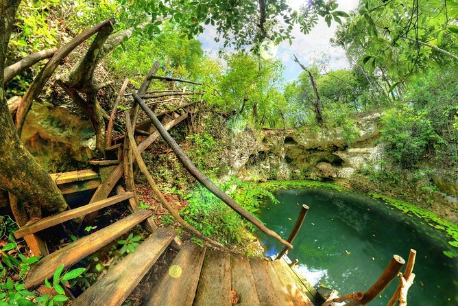 Cenote Zapote - Copyright and Terms for Cenote Zapote