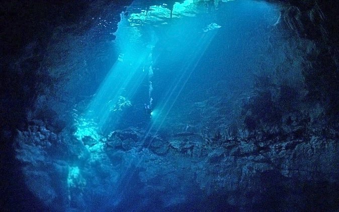 Cenotes 2-Tank Dive in Playa Del Carmen/For Certified Divers Only - Overview and Details