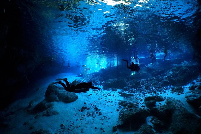 Cenotes 2-Tank Dive in Playa Del Carmen/For Certified Divers Only - Cenote Scuba Dive Experience