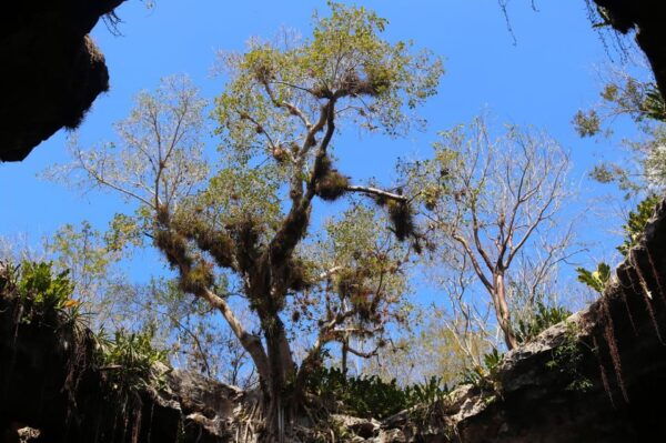 Cenotes Adventure (4 Cenotes) + Izamal - Important Information