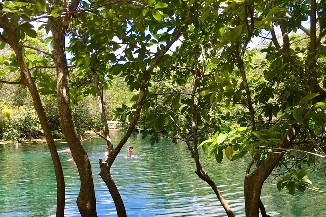 Cenotes Bike Tour With Food - Tour Highlights