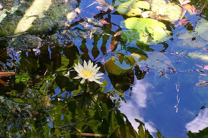 Cenotes Bike Tour With Food - Tour Operator and Group Size