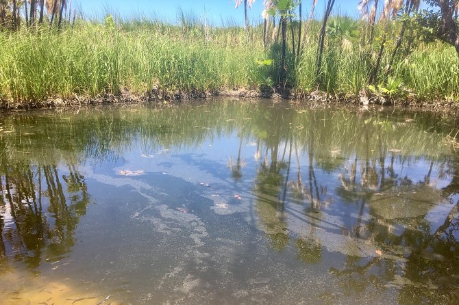 Cenotes Bike Tour With Food - Important Information