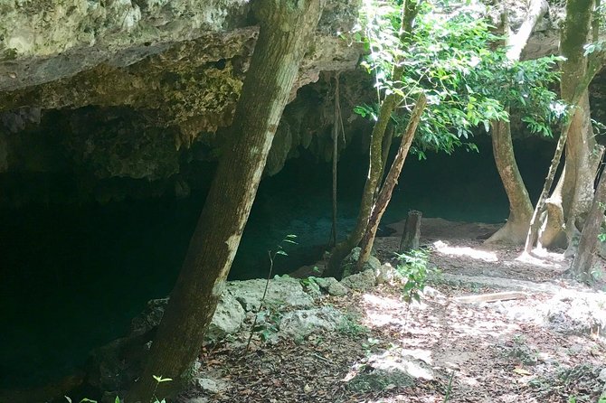 Cenotes Bike Tour With Food - Traveler Photos