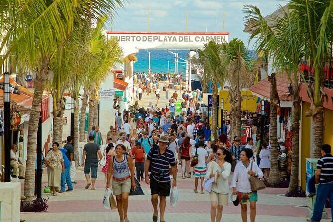 Cenotes Casa Tortuga - The Sum Up: Is This Tour Right for You?
