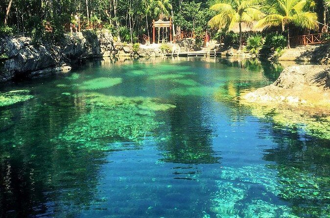 Cenotes Casa Tortuga 4 Cenotes Day Pass - Who Should Book This Tour?
