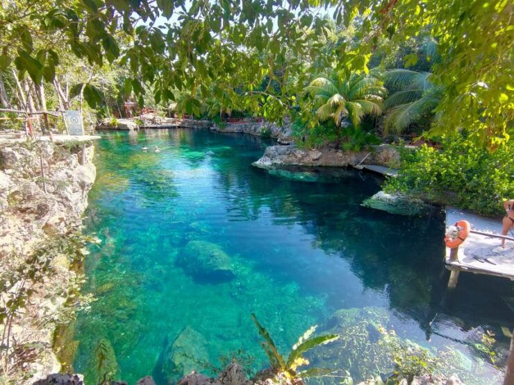Cenotes Casa Tortuga Tickets - Experience Highlights