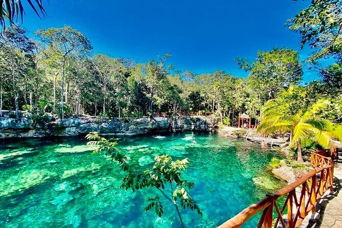 Cenotes Casa Tortuga Tulum Guided tour of the National Park - The Sum Up