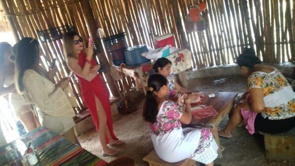 Cenotes Casa Tortuga & Tulum - Suitability and Recommendations