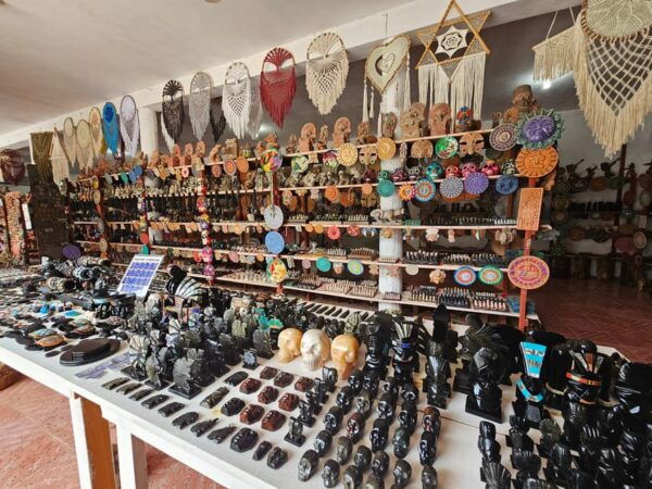 Cenotes Casa Tortuga & Tulum - Pickup Options