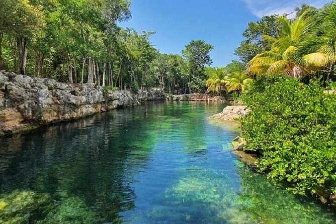 Cenotes Casa Tortugas Tour - Common Questions