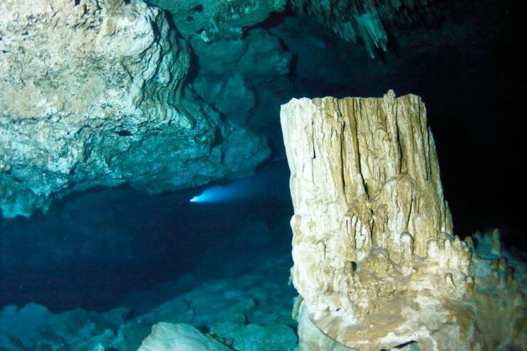 Cenotes & Cavern Diving Tour - Tour Overview