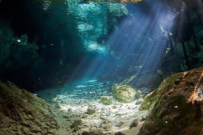 Cenotes diving from Riviera Maya - A Complete Guide to the Cenotes Diving Tour