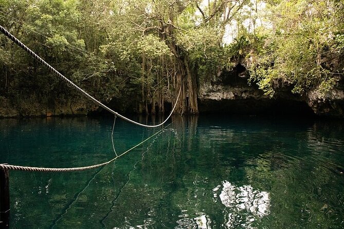 Cenotes Excursion Natures Paradise 45 Minutes From Cancun! - The Sum Up