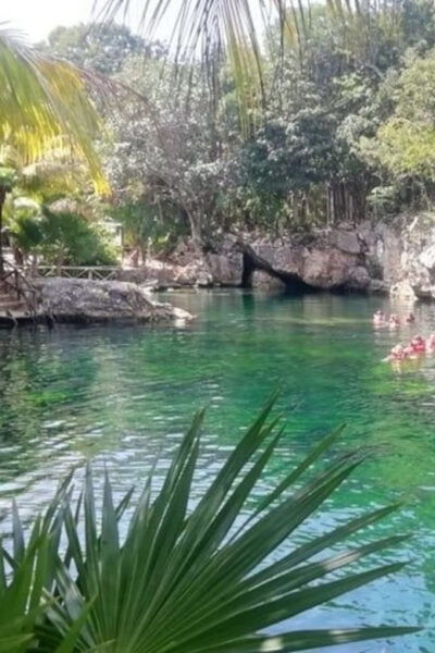 Cenotes Express - Guided Tour Highlights
