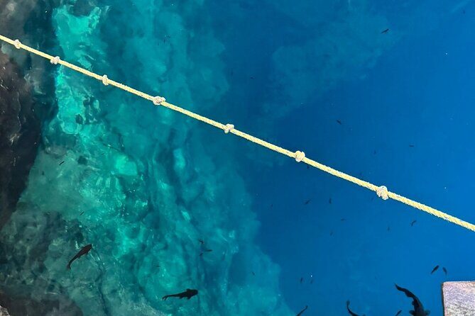 Cenotes, Pink Waters and Chichén Itzá in Tizimin Yucatán México - Frequently Asked Questions