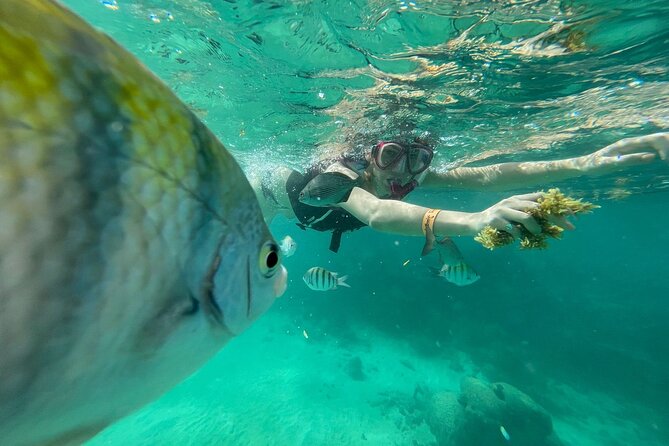 Cenotes Private Tour VIP - Cancellation Policy and Refund Options