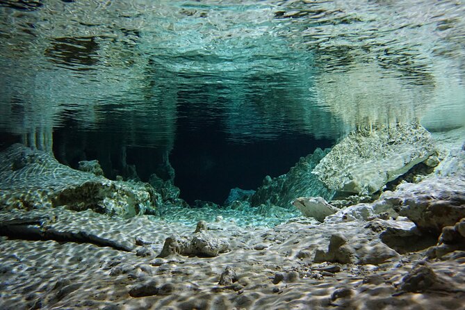Cenotes Private Tour VIP - Pricing and Group Size Options
