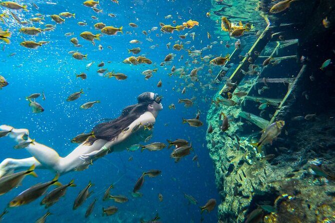 Cenotes Tour: Discover Hidden Gems, from Playa del Carmen - Practical Tips for Travelers