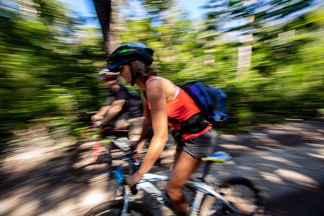 Cenotes Trail Jungle Bike Tour in Tulum With Lunch - Tour Highlights