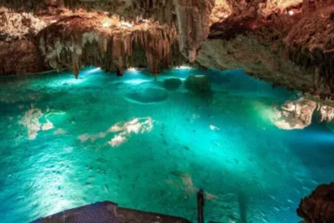 Cenotes, Turtles and Beach Club - Tour Structure