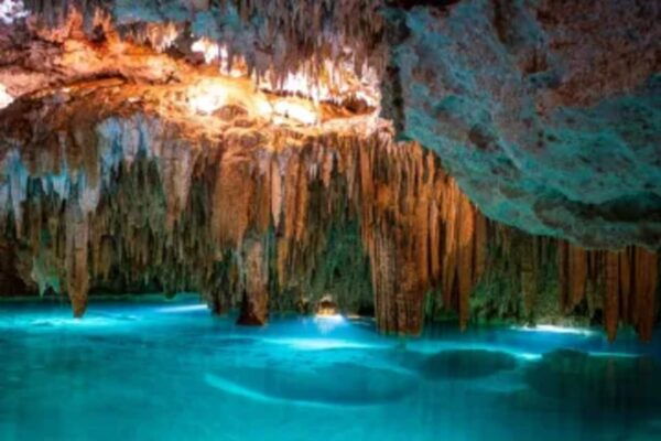 Cenotes, Turtles and Beach Club - Snorkeling in Akumal