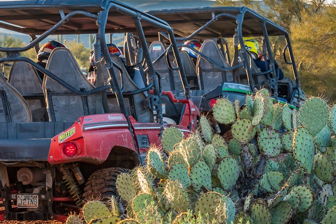 Centipede Tour - Guided Arizona Desert Tour by UTV - Experience Highlights