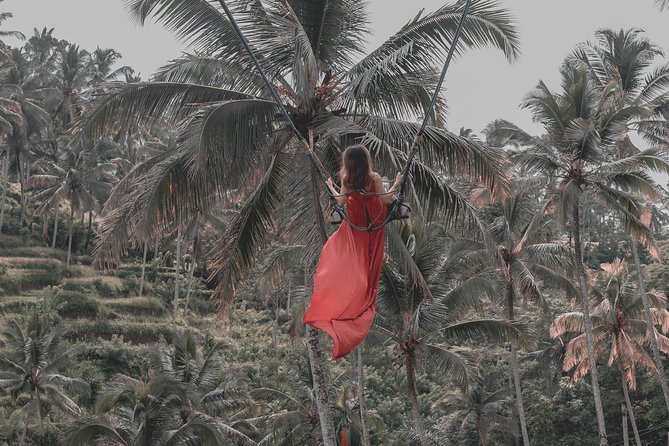 Central Bali Higlights Tour: Volcano, Rice Terrace, Swing & Natural Hot Spring - Review and Ratings