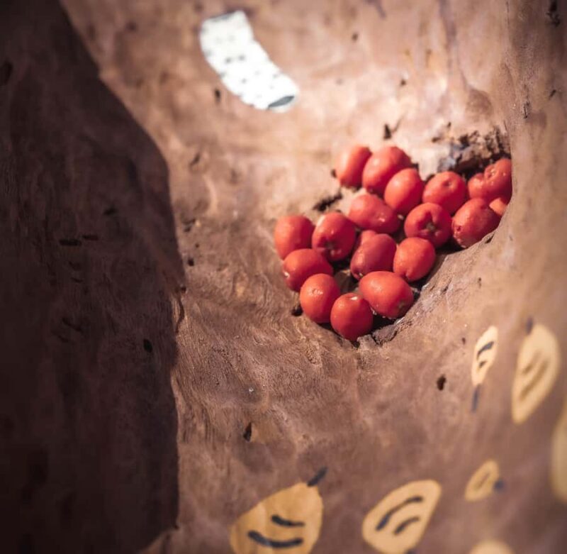 Central Coast: Aboriginal Storytelling and Wine Tasting Tour - Who Will Love This Experience?