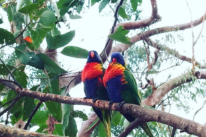 Central Coast Private Tour From Sydney, With Australian Reptile Park Option - Local Cuisine and Dining Options