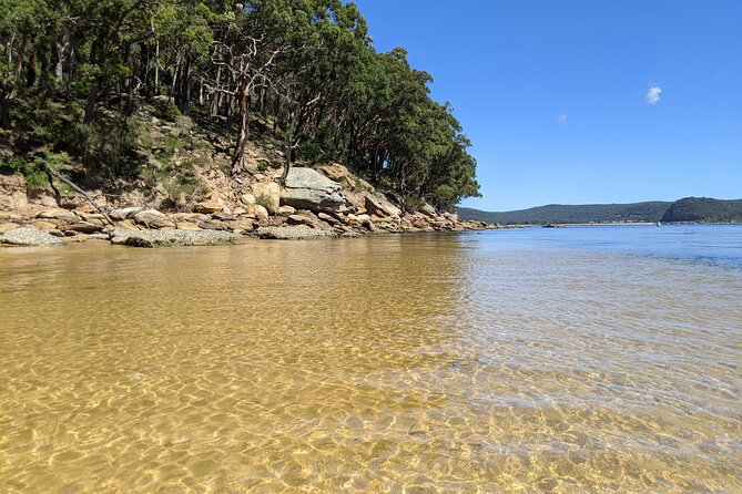 CENTRAL COAST PRIVATE TOUR Waterfalls, Beach Lookouts, Aboriginal Rock Art - The Sum Up