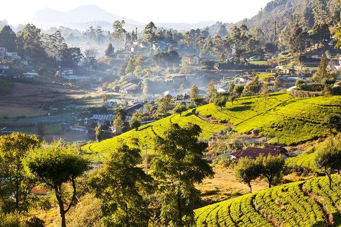 Central Highlands Peak Point from Kandy - What Makes This Tour Stand Out