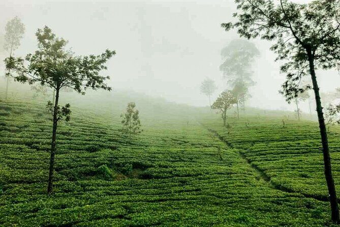 Central Highlands Peak Point from Kandy - Practical Details & Tips