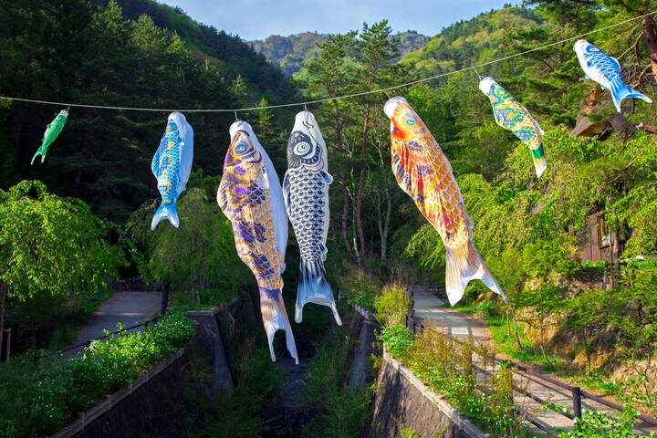 Central Japan by Europamundo - 9-Day Tour from Tokyo - Guides, group size and the value of the price