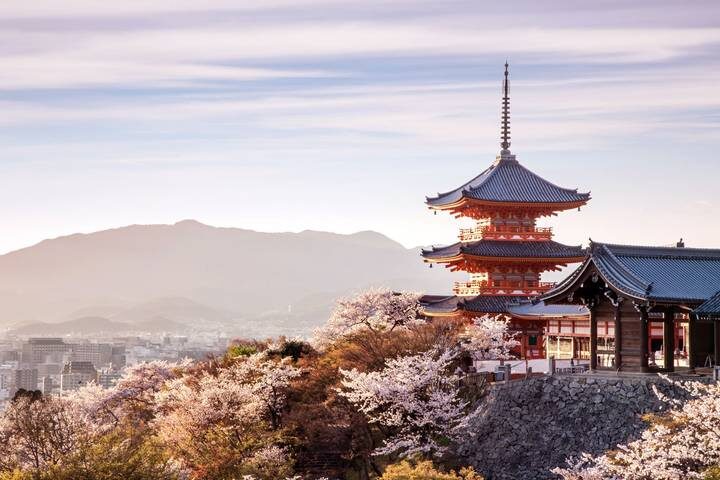 Central Japan Express 7-Day Tour by Europamundo - A full road day to Kyoto