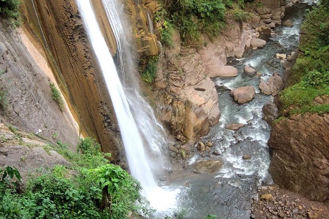 Central Jungle 4 Days and 3 Nights - Accommodation Details