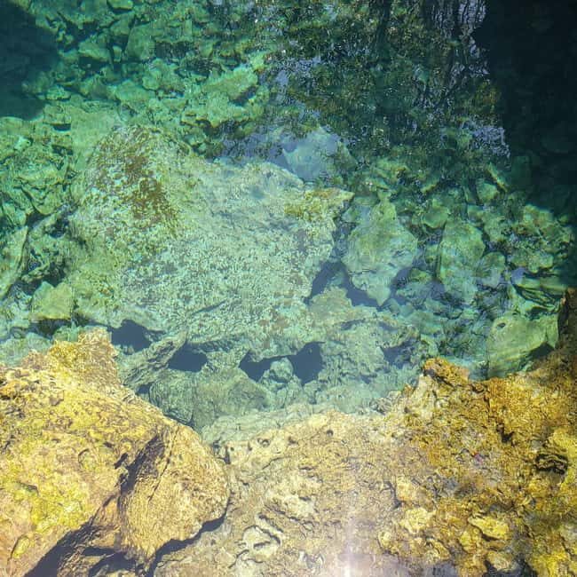 Central Long Island 3 Hour Guided Land Tour - Exploring the Central Long Island 3 Hour Guided Land Tour: A Practical Guide