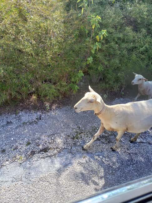 Central Long Island 3 Hour Guided Land Tour - What Makes This Tour Stand Out?