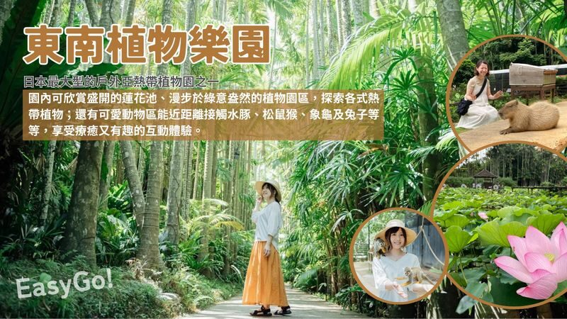 Central Okinawa Day Tour: Hoshino Banta Cafe & Cape Zanpa & Southeast Botanical Gardens & AEON MALL Okinawa Rycom (Chinese-speaking Guide) - Cape Zanpa: cliffs, sea air and a lighthouse